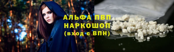 спайс Богданович