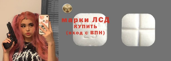 спайс Богданович