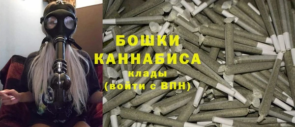 спайс Богданович