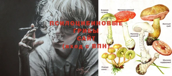 спайс Богданович