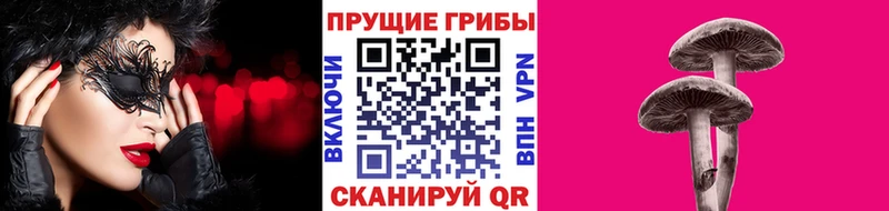 Псилоцибиновые грибы GOLDEN TEACHER  как найти наркотики  Новоржев 